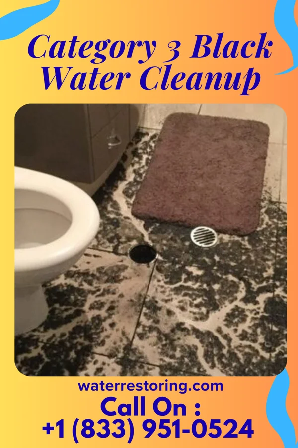 Category 3 Black Water Cleanup in DeLand Southwest, FL